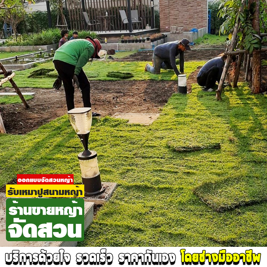 ร้านขายหญ้าจัดสวน ถนนศรีนครินทร์