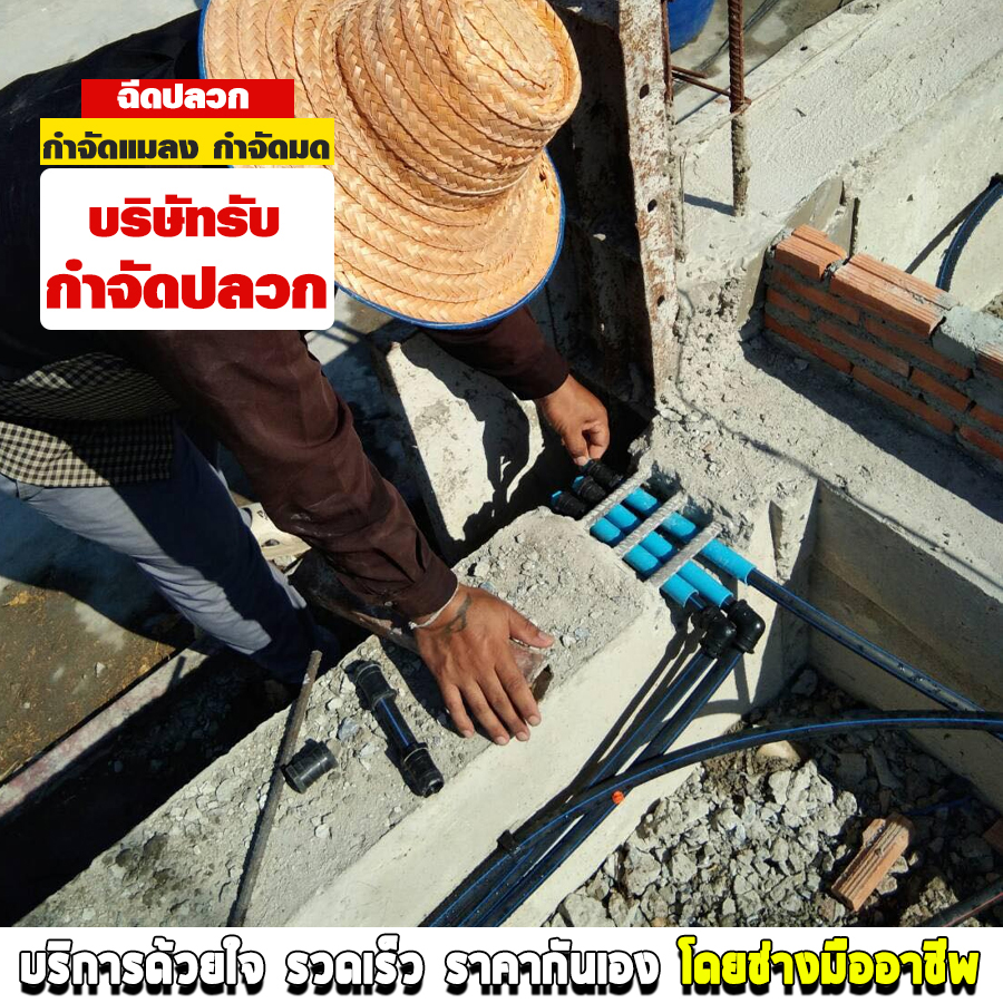 รับกำจัดปลวก พรานนก